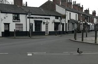 Ducks enjoy a walk along the road in Churchtown Village in Southport. Photo by Rhythm Time Southport, Preston South and Ormskirk
