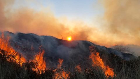 Southport sand dunes wildfire blaze tackled by firefighters