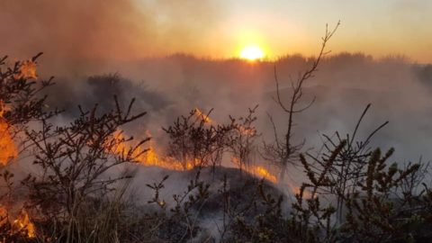 Plea to stay away from our coast after rise in sand dunes fires