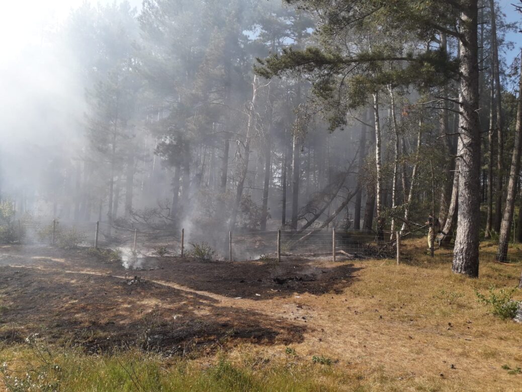 Firefighters have issued a warning after a blaze at Formby Pinewoods