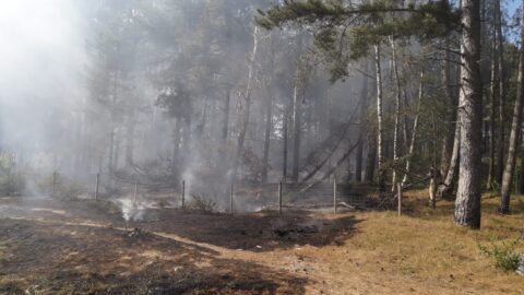 Large fires in Ainsdale and Formby spark safety warnings during hot weather