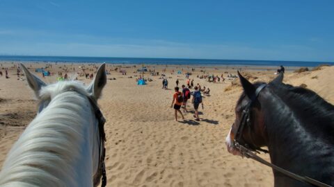 £200 fines handed out to Formby Beach visitors as police turn away over 100 cars