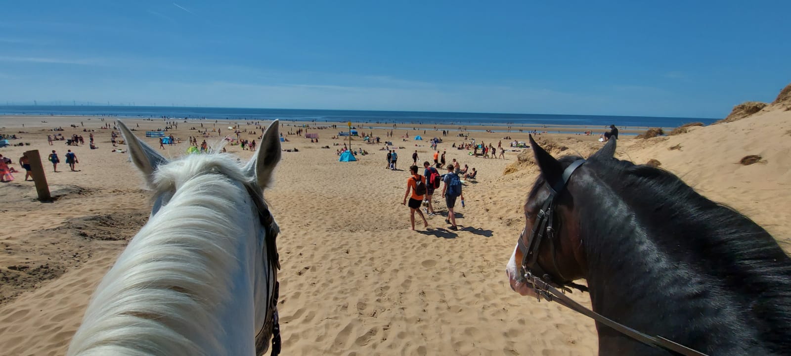 Merseyside Police horses Silver and Oxberry patrol Formby Beach