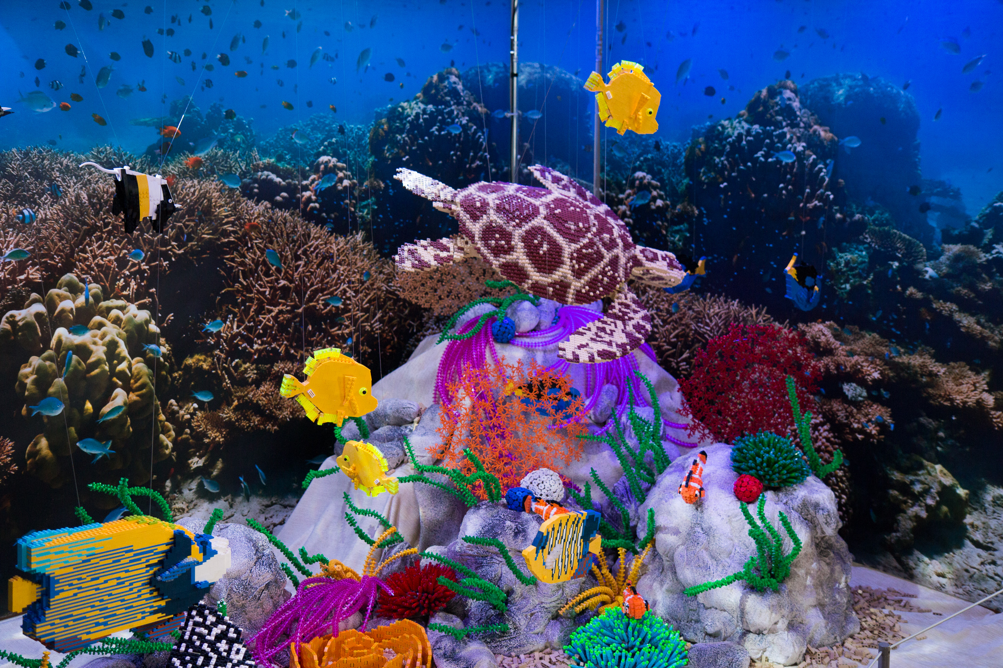 The Great Barrier Reef in Australia features in the Brick Wonders exhibition at The Atkinson in Southport