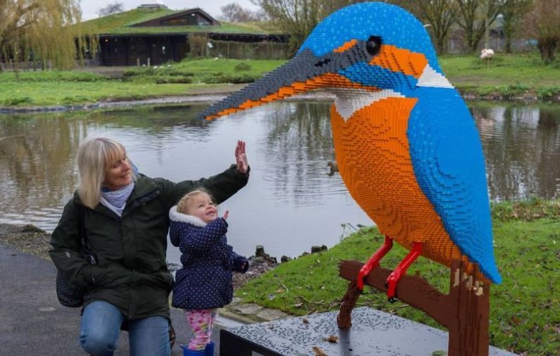 The famous giant Lego animals are back at WWT Martin Mere in Burscough