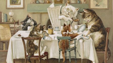 World’s most famous cats celebrated in free new exhibition at The Atkinson in Southport