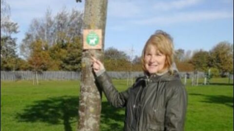 Dog owners see proposed new rules in Sefton postponed after more clarity sought