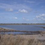 RSPB Hesketh Out Marsh