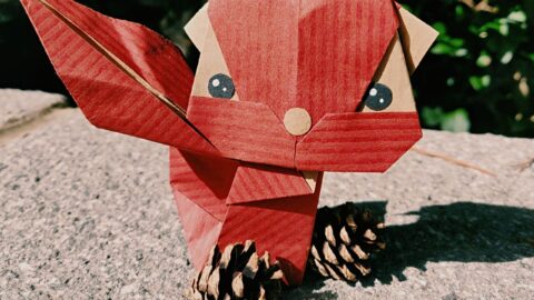 Origami Red Squirrel Project celebrates these rare animals during Sefton Borough Of Culture