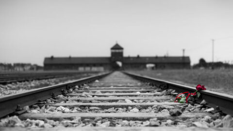 Holocaust Memorial Day 2021 urges everyone to ‘Be a Light in the Darkness’