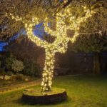 A tree in Southport lit up by IllumiDex UK Ltd