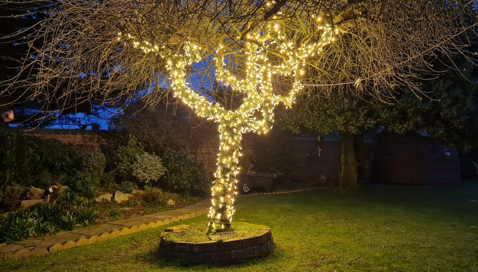 A tree in Southport lit up by IllumiDex UK Ltd