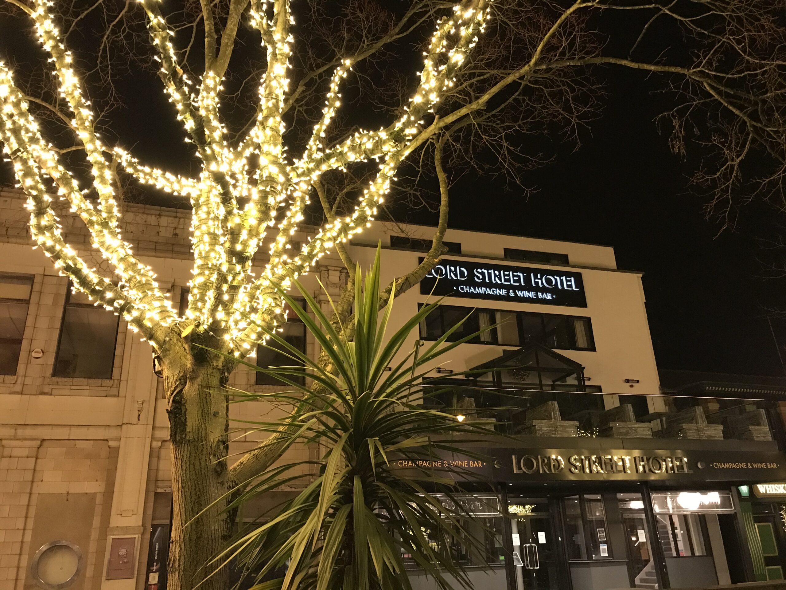 Lights on Lord Street in Southport, provided by Southport BID. Photo by Andrew Brown Media 