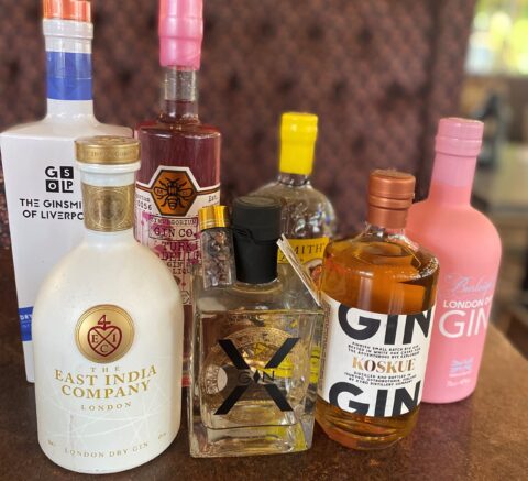 Remedy in Southport celebrates World Gin Day 2021 with special Gin Tasting event