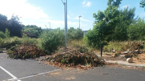 Tonnes of garden waste flytipped in Southport as prosecution warning issued to residents