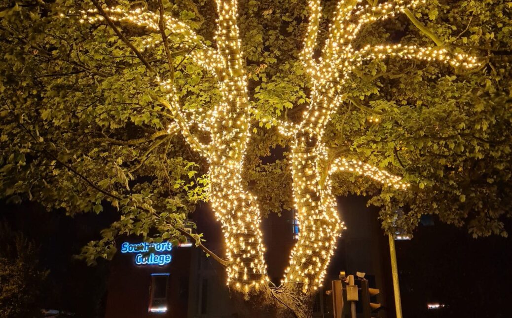 A tree outside Southport College has been lit up by local lighting firm IllumiDex UK Ltd