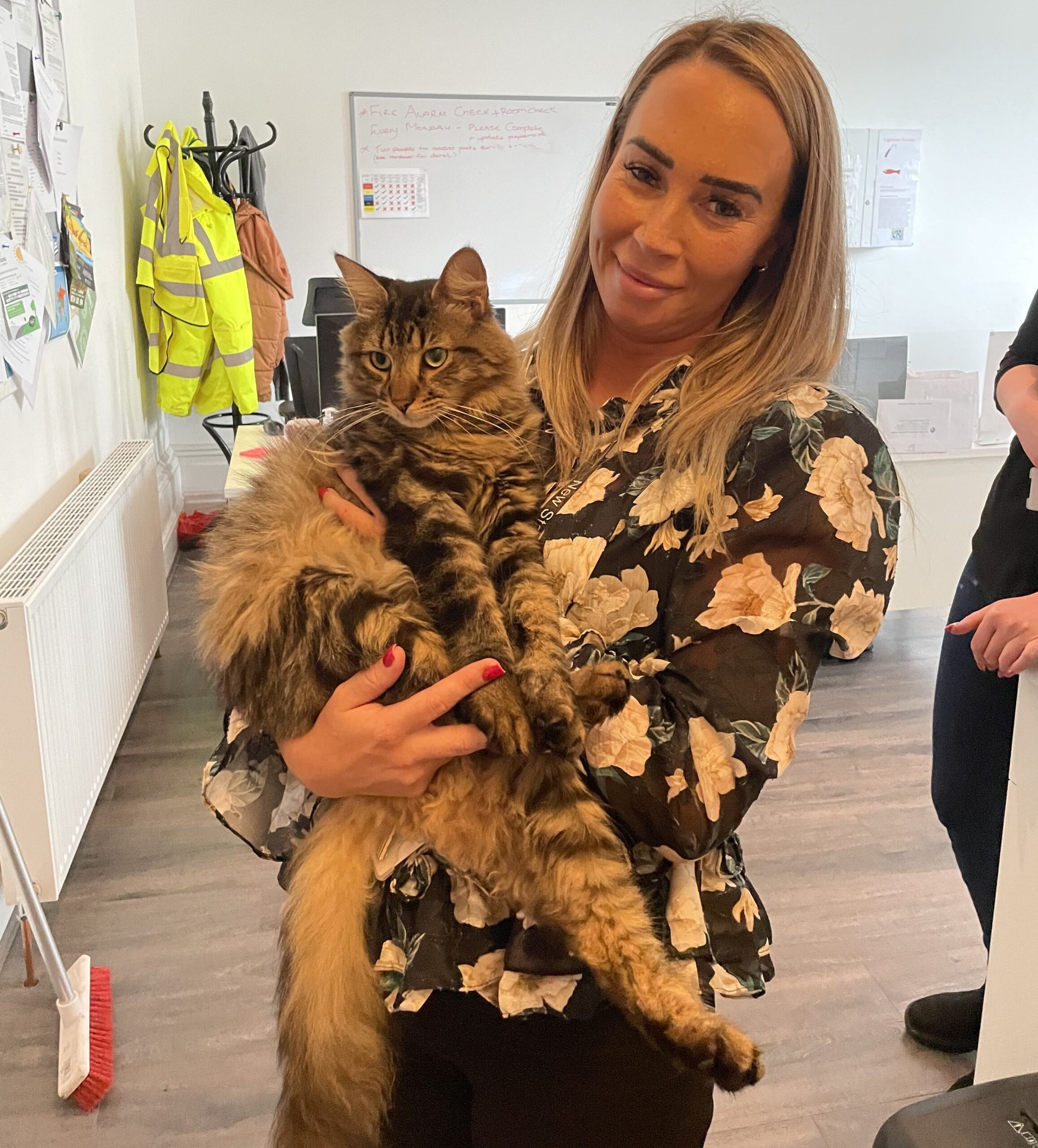 Hannah Blundell with Paddy the office cat at New Start in Southport