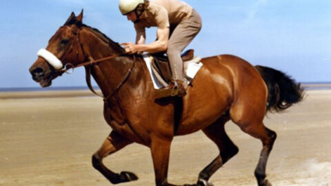 Discover more about world’s most popular racehorse Red Rum with online talk