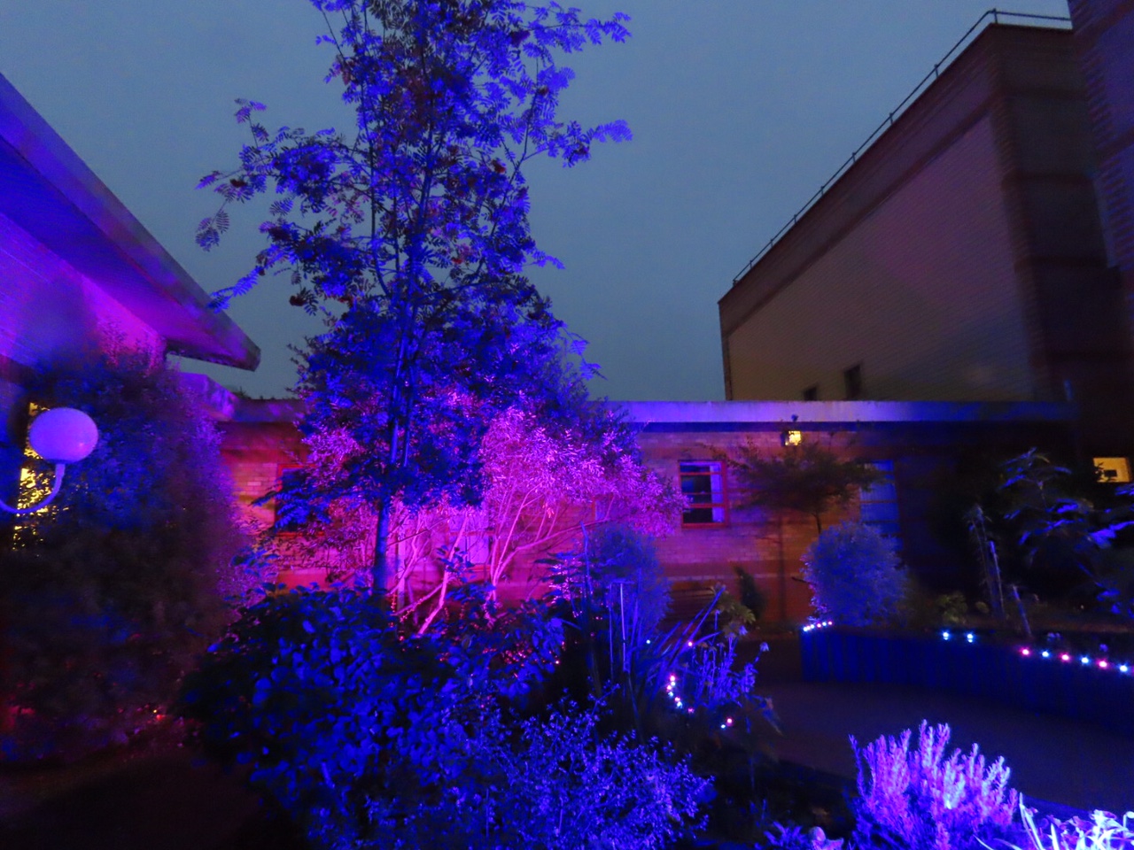 New lights have been installed in the baby gardens at Southport Hospital and Ormskirk Hospital by IllumiDex UK Ltd. Photo by Andrew Brown Media