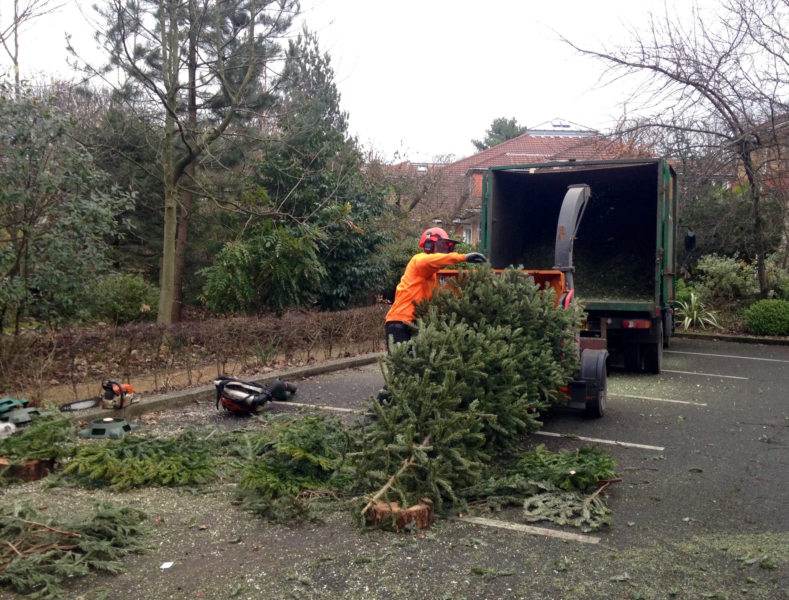 Queenscourt is appealing for a last-minute sponsor for its annual Christmas Tree Collection Service
