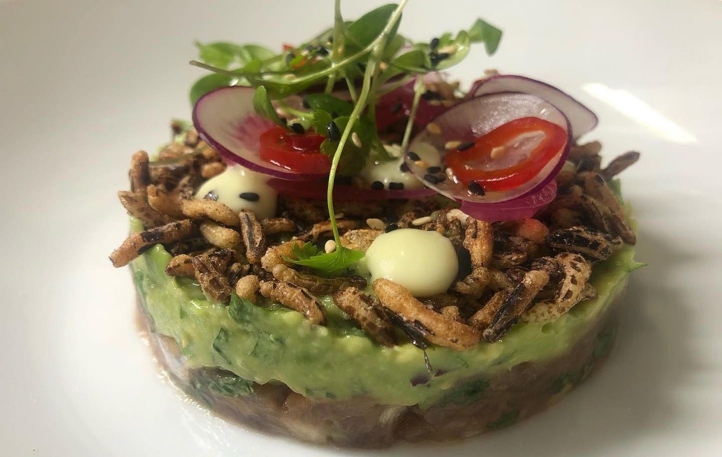 Japanese Tuna Tartare, Wasabi, Avocado, Sesame & Puffed Rice at Bistrot Verite in Birkdale Village in Southport