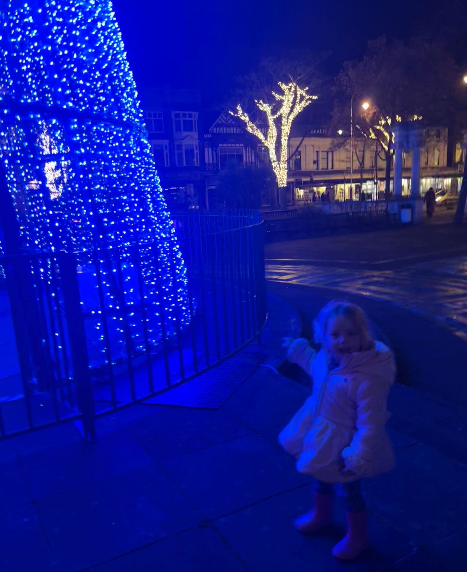 Pip Gilliver with the Southport Christmas tree
