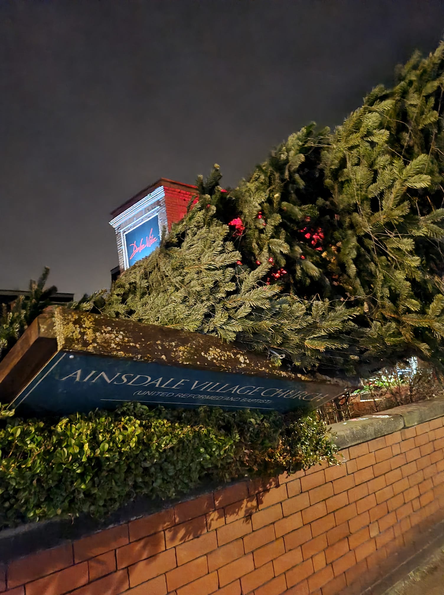 The Ainsdale Christmas tree was blown over by Storm Arwen. Photo by Charlotte House