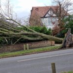 A tree was knocked over by Storm Arwen on Scarisbrick New Road in Southport. Photo by Michelle Suzanne