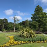 Floral displays at Botanic Gardens in Churchtown in Southport. Photo by Andrew Brown Media