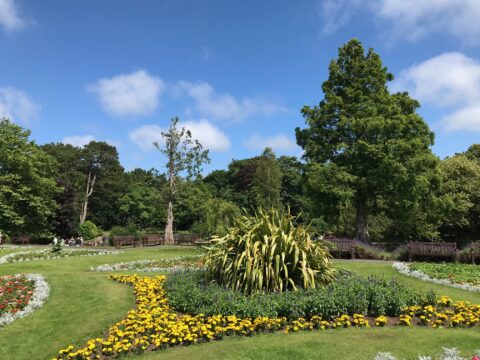 Over 70 great prizes to be won as Raffle launched to improve Botanic Gardens in Churchtown