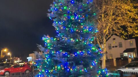 High Park Christmas Tree Carol Singing date announced after Storm Arwen postponement
