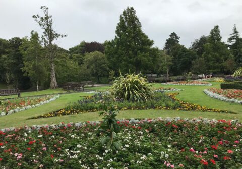 Volunteers at Botanic Gardens in Churchtown defend planted beds after RHS calls for wildflowers