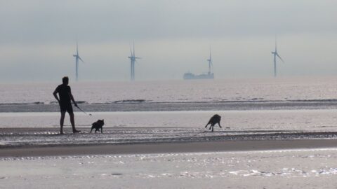 Warning for dog owners as oil leak to be washed ashore on Southport, Ainsdale and Formby beaches