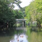 Botanic Gardens in Churchtown in Southport. Photo by Andrew Brown Media