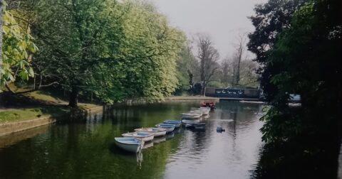 1990s pics of Botanic Gardens in Churchtown recall glory days of boats, land train and old Museum