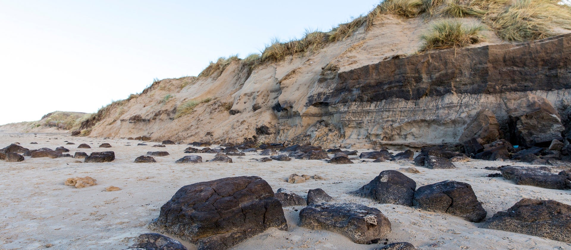 The 'tobacco cliffs' at Formby. Photo by The National Trust