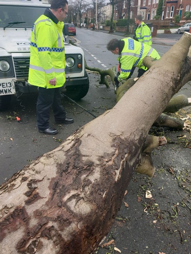 Sefton Police reported a tree down on Albert Road outside Southport Police Station on Saturday during Storm, Eunice