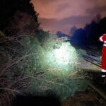 Image provided by Network Rail of tree blocking the track between Ainsdale and Freshfield.