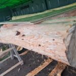 Southport Pleasureland has been working with Formby Hall Golf Resort & Spa to recycle wood from trees blown over during recent storms