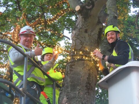 IllumiDex is lighting up Ainsdale Village in Southport with 70,000 sparkling new lights