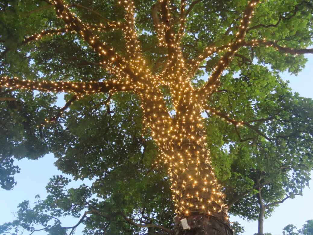 IllumiDex is lighting up Ainsdale Village in Southport with 70,000