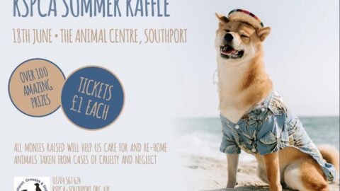 RSPCA Southport, Ormskirk and District unveils Summer Raffle with great prizes ton be won