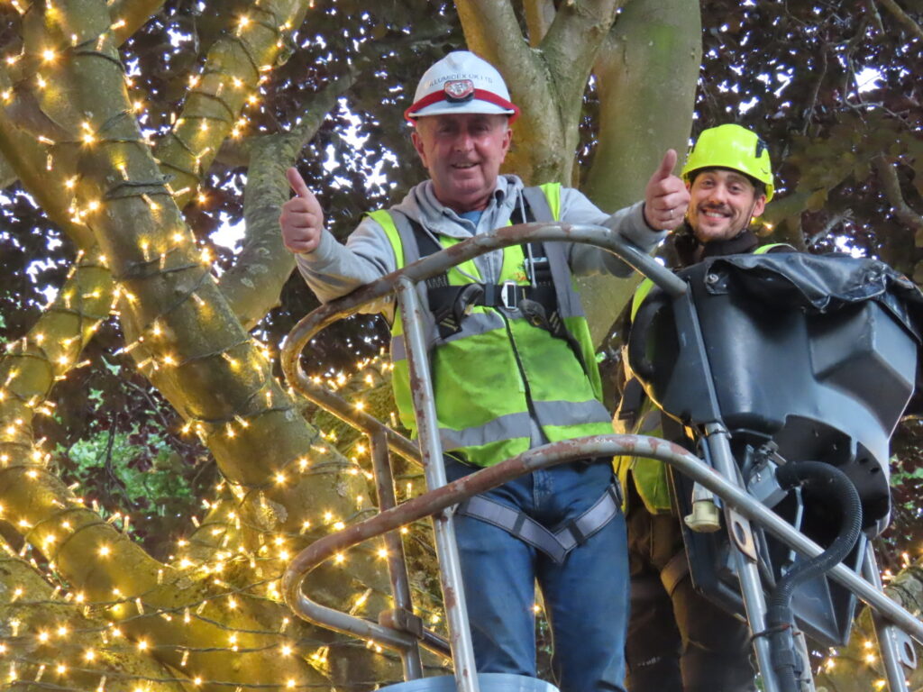Ainsdale boasts 'one of region's most spectacular tree lighting