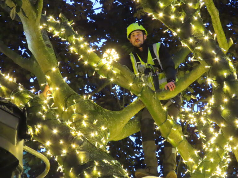 Ainsdale boasts 'one of region's most spectacular tree lighting