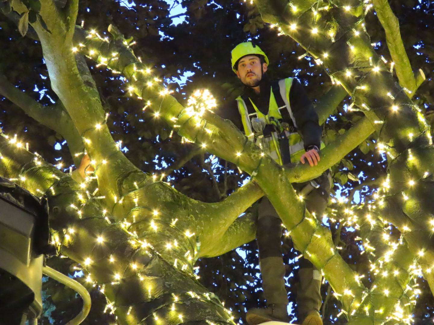 Ainsdale Village in Southport has been lit up with 70,000 new lights thanks to Ainsdale Civic Society and IllumiDex UK Ltd. Photo by Andrew Brown Media