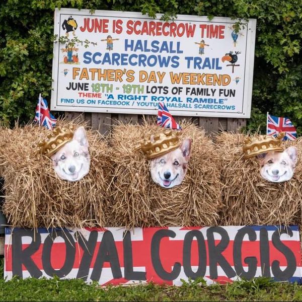 Scarecrows in the Halsall Scarecrow Trial