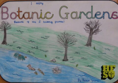 Holy Family Primary School pupils’ moving pictures reveal why Botanic Gardens is special to them