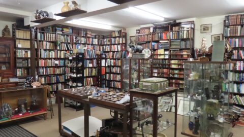 Iconic Southport shop selling rare books, sea shells, music and collectibles reopens after two year absence