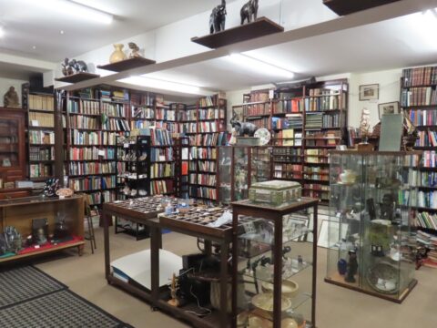 Iconic Southport shop selling rare books, sea shells, music and collectibles reopens after two year absence