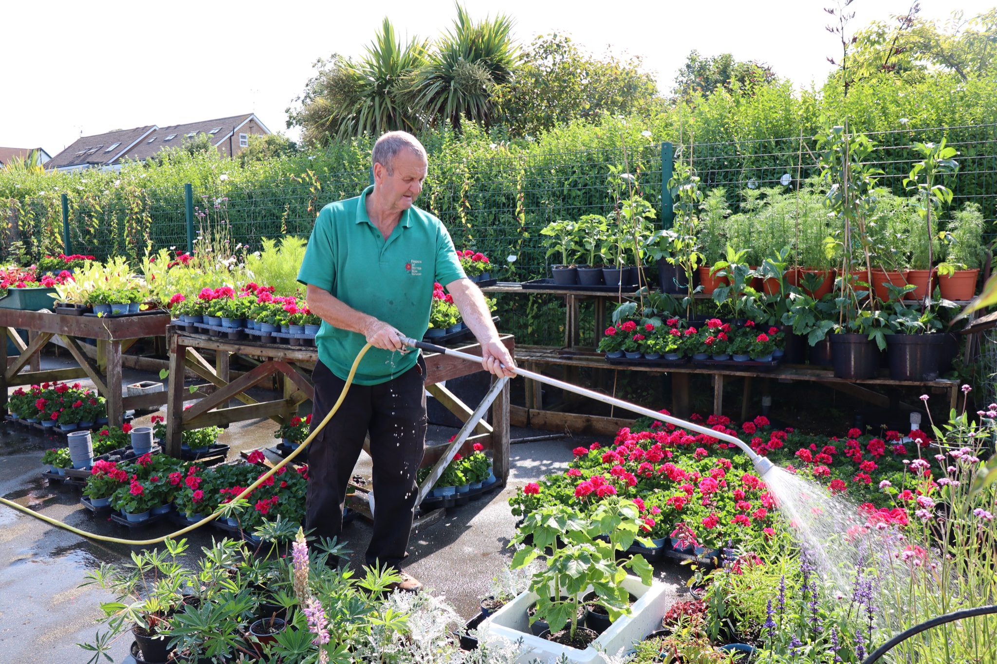 Rotten Row in Southport is celebrating its 100th anniversary. The herbaceous border is largely maintained by volunteers from the Friends Of Rotten Row